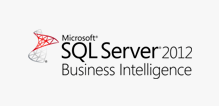 msbi_logo