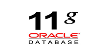 oracle11g